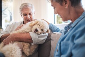 Retirement, dog and senior couple love, hug and care for puppy on sofa in a home for mental health and wellness.